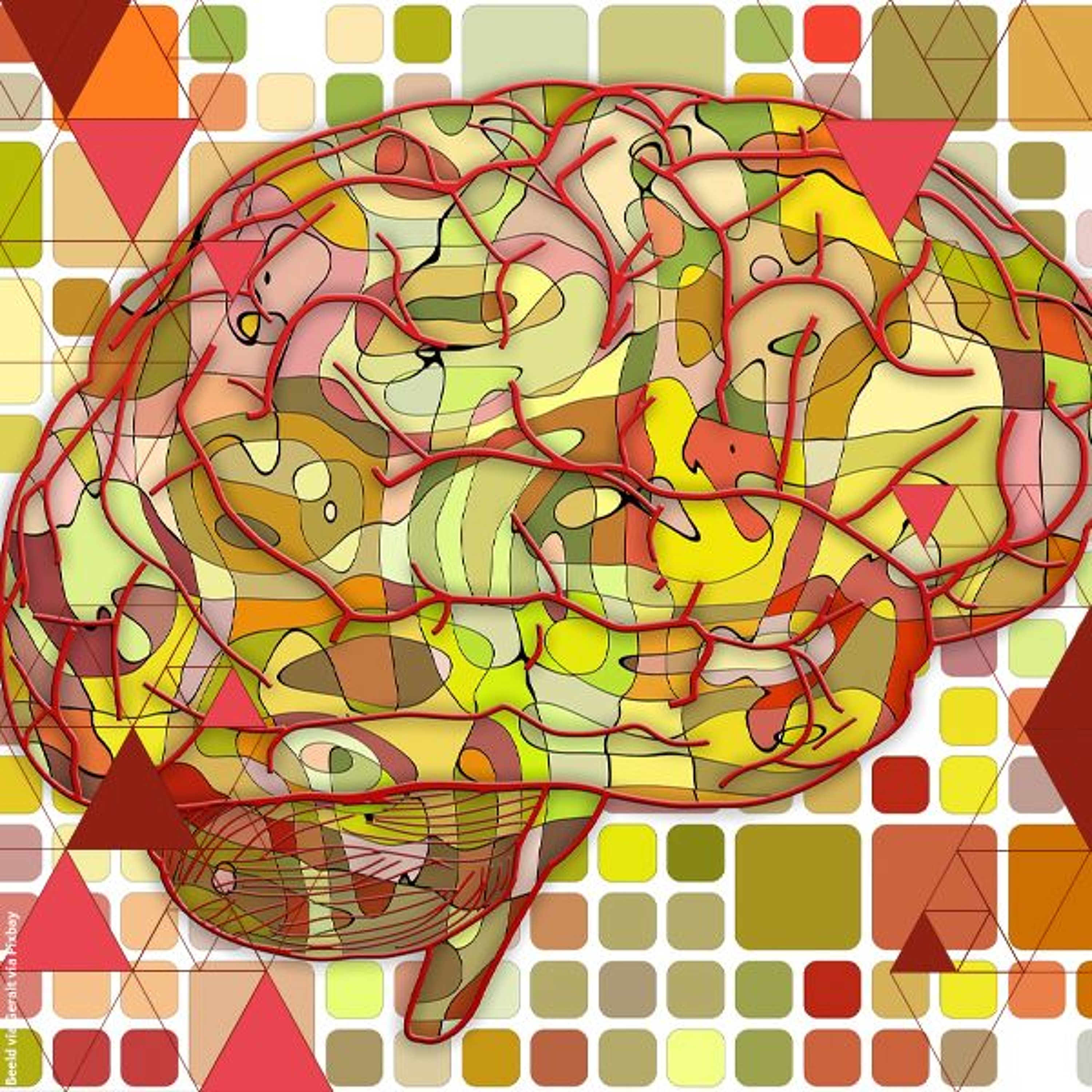 Het verouderende brein | Met Linda Geerligs en Marcel Olde Rikkert