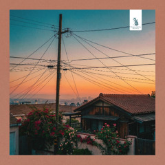 barefoot on warm asphalt