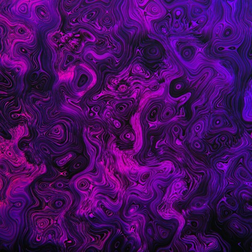 Sephalopod - Option Paralysis