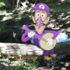 Waluigi Sings: "Rainbow Connection"