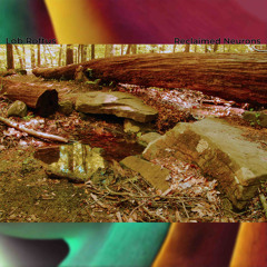 Reclaimed Neurons [final - unmastered].wav