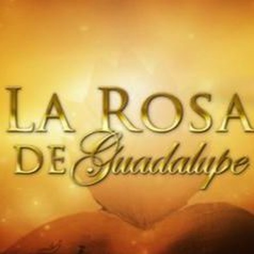Rosa De Guadalupe