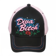 diva bitch (_¸.✭☆´¯) 🌹
