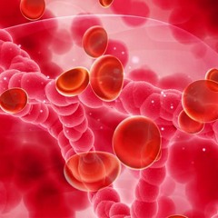 Blood Purification Frequency | Remove Toxins From Your Blood & Improve Circulation