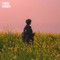 VIES VIBES - Castles in Sand 👽