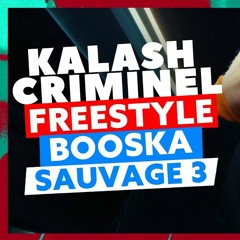 Kalash Criminel | Freestyle Booska Sauvage 3