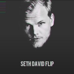 Seek Bromance (Seth David Flip)