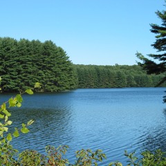 A town with four reservoirs