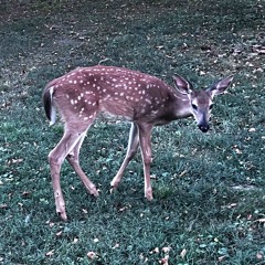 One Train (May Hide Another) - BMI Showcase