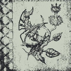 Ex Magazine invite Xinyi