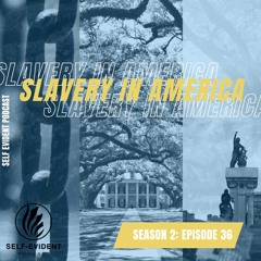 Slavery, Inequality, and You || Mike Sonneveldt || Season 2: Episode 36