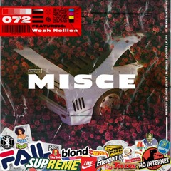 MISCE 072 - Woah Nelliee