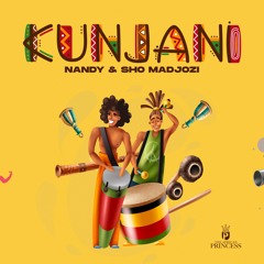 Kunjani (feat. Sho Madjozi)