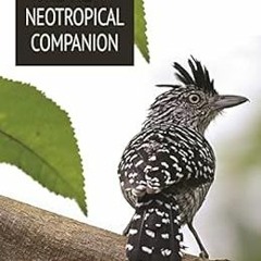 Get EPUB 📬 The New Neotropical Companion by John C. Kricher KINDLE PDF EBOOK EPUB