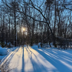 Snowed In & Taking A Break