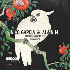 Alain M. & Niko Garcia - Celestial Incantation (Original Mix)