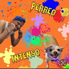 Perreo Intenso