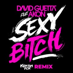 David Guetta Ft. Akon - Sexy Bitch (Kentin FcN REMIX)