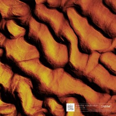 PREMIERE | Plusculaar - Dios Nos Libre [SRW071]