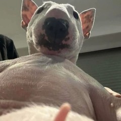 KHI YÊU NÀO ĐÂU AI MUỐN - CHU DUYÊN COVER ( ĐÔNG X THAZH REMIX )