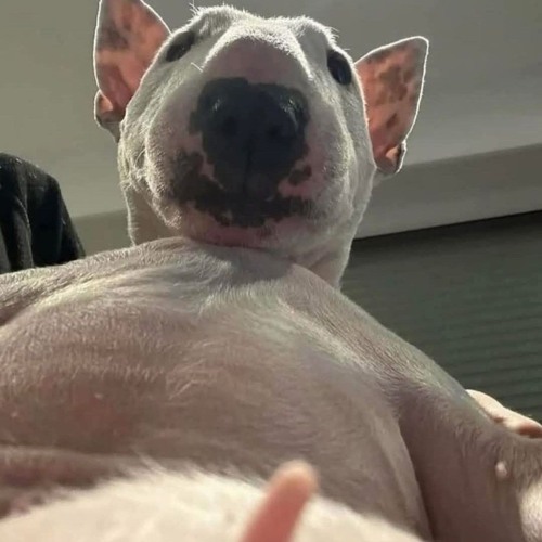 KHI YÊU NÀO ĐÂU AI MUỐN - CHU DUYÊN COVER ( ĐÔNG X THAZH REMIX )