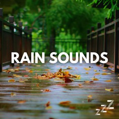 Live Rain Recording (Loopable, No Fade)