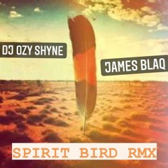 DJ Ozy Shyne - James Blaq - SPIRIT BIRD RMX 2020