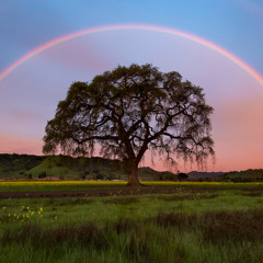 Rainbow Sunrise