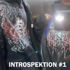 Introspektion #1