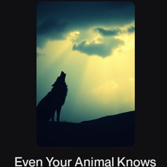Even Your Animal Knows.wav