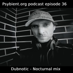 psybient.org podcast -36- mixed by Dubnotic Nocturnal Mix