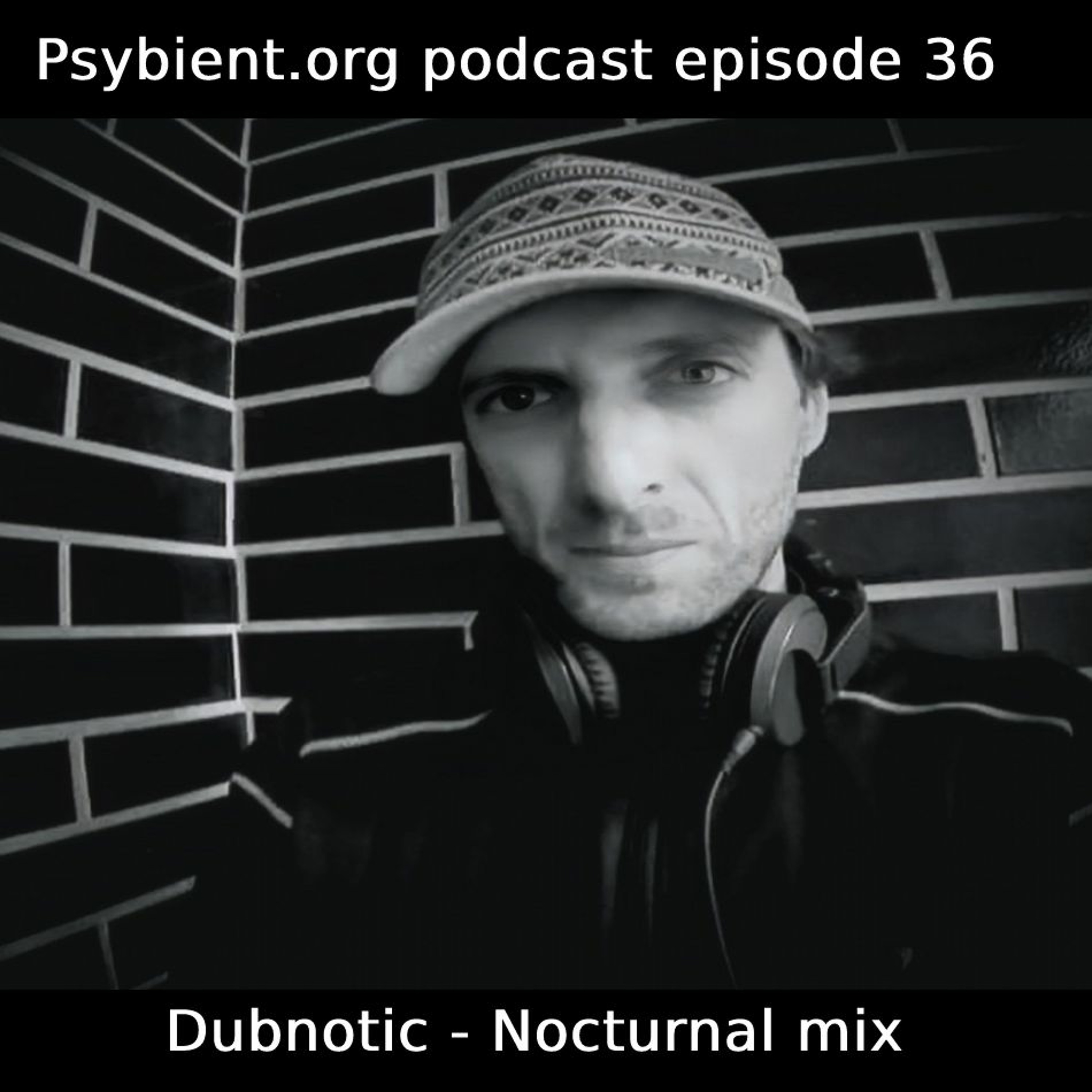 psybient.org podcast ( psybient psychill psydub ambient downtempo psychedelic psybass psygressive)