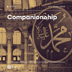 Episode 11.26 - Companionship