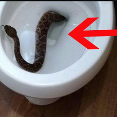 nothiki - поплавок