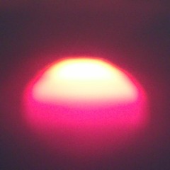 La baleine dans les bras d'Orion