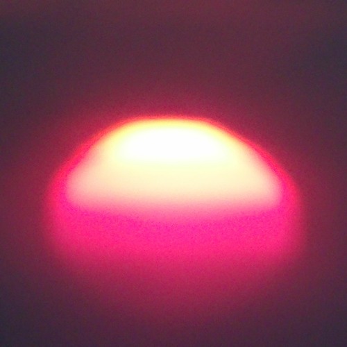 La baleine dans les bras d'Orion