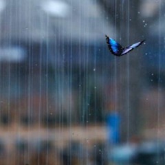 lost in a city Hashan ft. nimrata