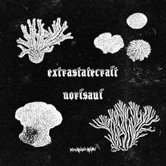 Extrastatecraft - Norfsauf
