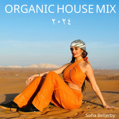 CHILLED ORGANIC & ARABIC HOUSE MIX | s o f i a b e l l e r b y