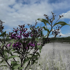 shit slaps on mute 🔥🔥 the moon demo 3