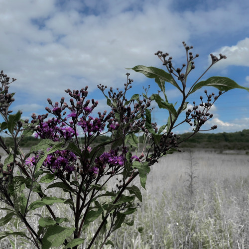 shit slaps on mute 🔥🔥 the moon demo 3