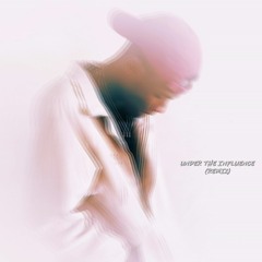 Chris Brown - Under The Influence (Edsli Remix)