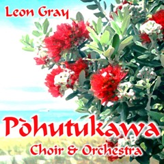 Pohutukawa Choir & Orchestra May 24