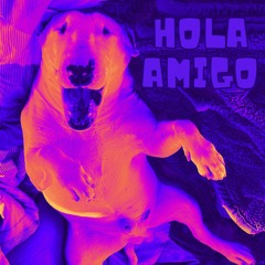 Hola Amigo