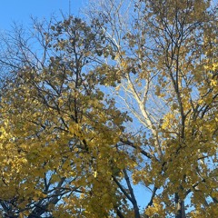 i feel it i feel it i feel it