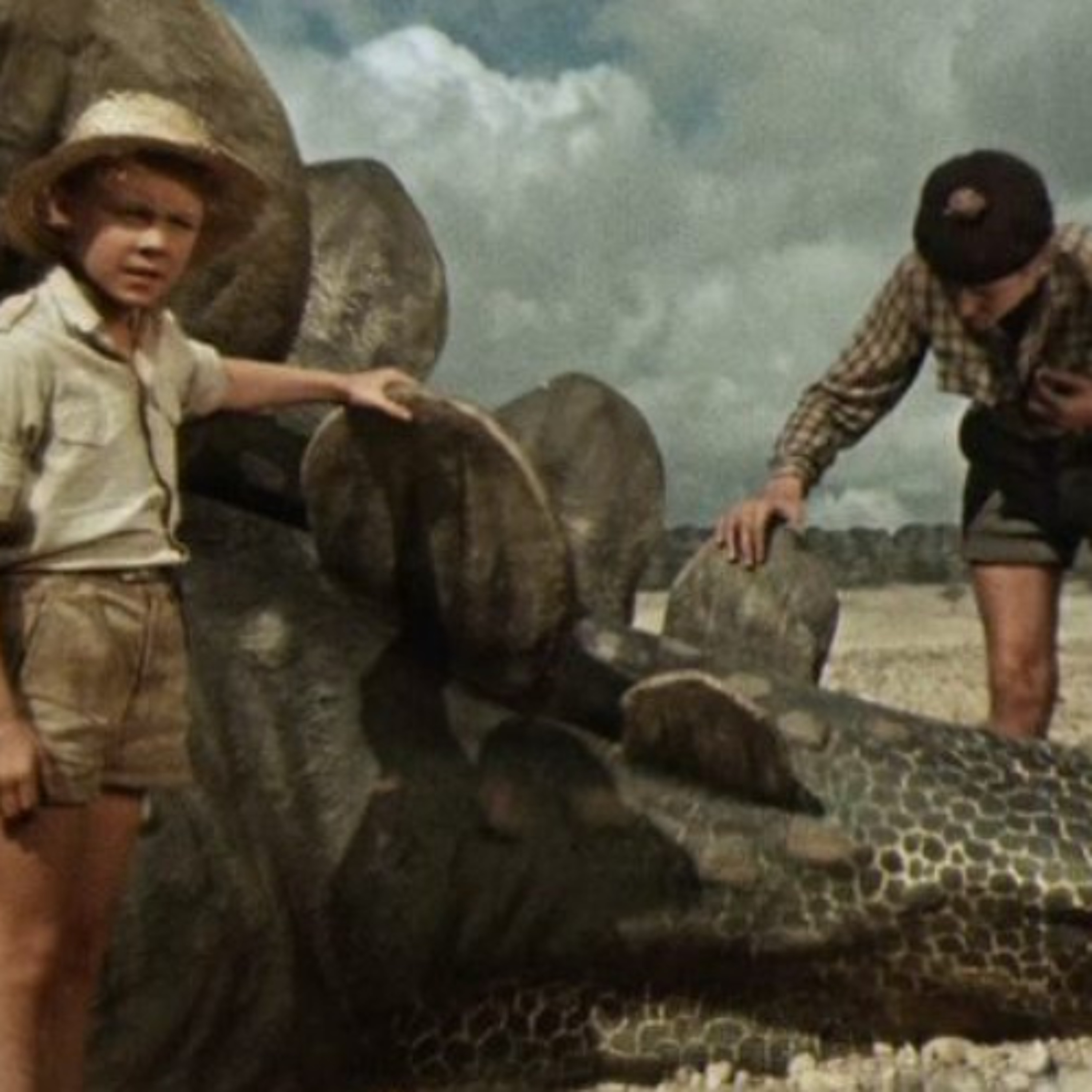 JOURNEY TO THE BEGINNING OF TIME