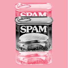 Spam featuring Ad Rock of Beastie Boys (Miilk Remix)