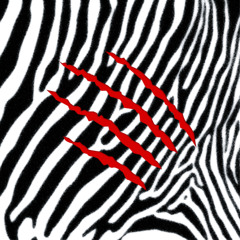 Dutty Bounce (Bonus Track)