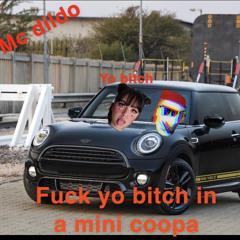 FUCK YO BITCH IN A MINI COOPA