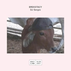 Skylab Radio | BREKSTACY | DJ Sergio | E59